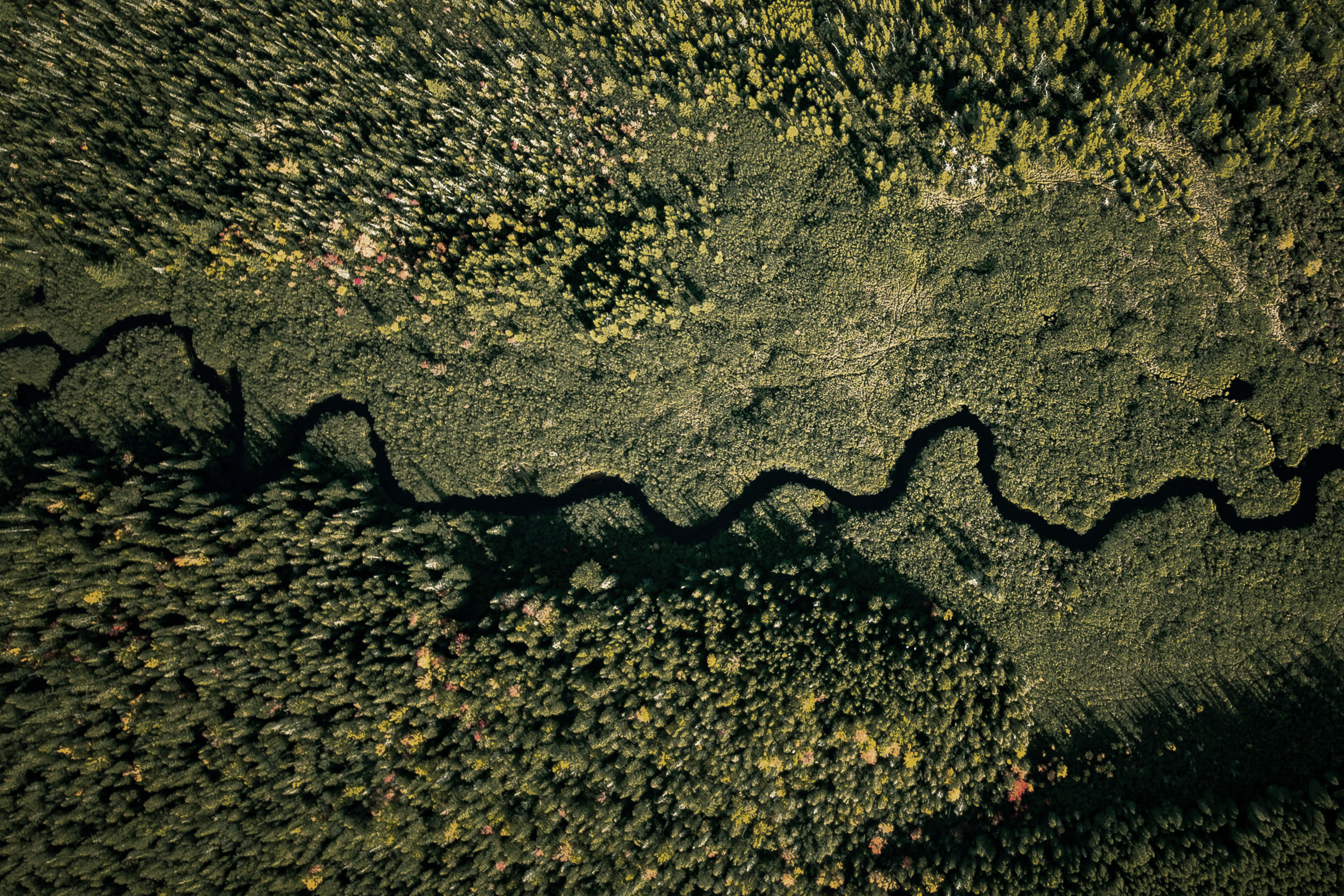 Aerial view of northern forest and river landscape